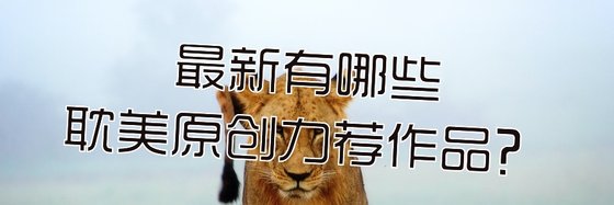 最新有哪些耽美原創力薦作品？